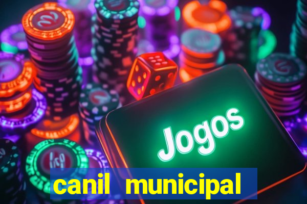 canil municipal porto alegre